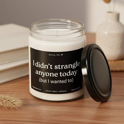 Didn't Strangle Anyone Non-Toxic Soy Candle, 9oz