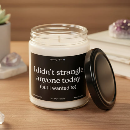 Didn't Strangle Anyone Non-Toxic Soy Candle, 9oz