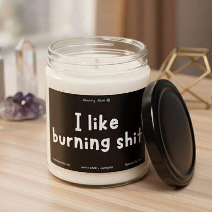 I Like Burning Shit Non-Toxic Soy Candle, 9oz