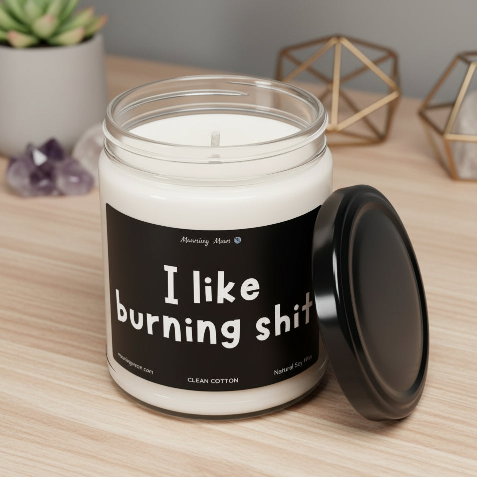 I Like Burning Shit Non-Toxic Soy Candle, 9oz