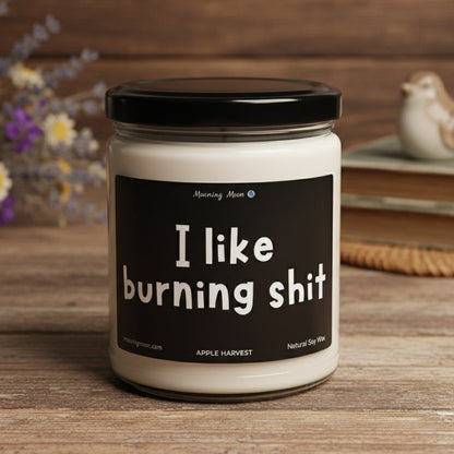 I Like Burning Shit Non-Toxic Soy Candle, 9oz
