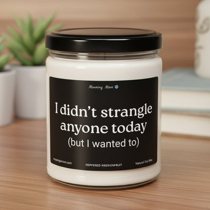 Didn't Strangle Anyone Non-Toxic Soy Candle, 9oz
