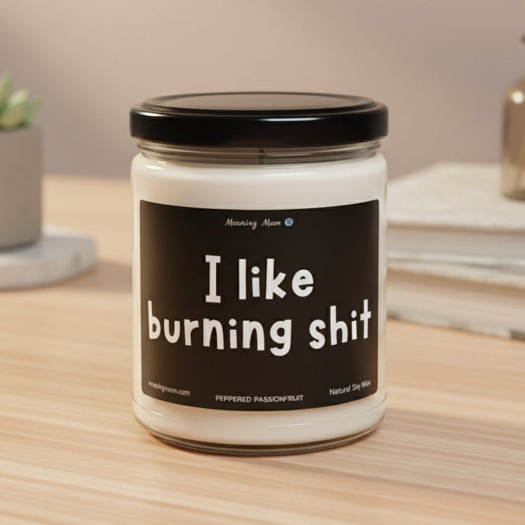 I Like Burning Shit Non-Toxic Soy Candle, 9oz