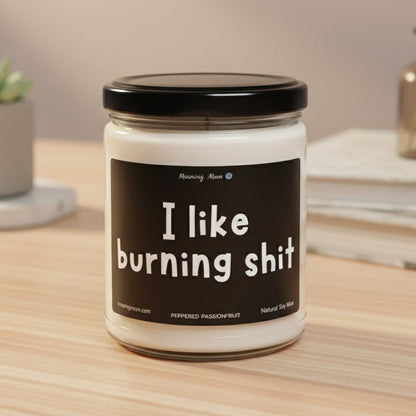 I Like Burning Shit Non-Toxic Soy Candle, 9oz