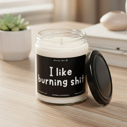 I Like Burning Shit Non-Toxic Soy Candle, 9oz
